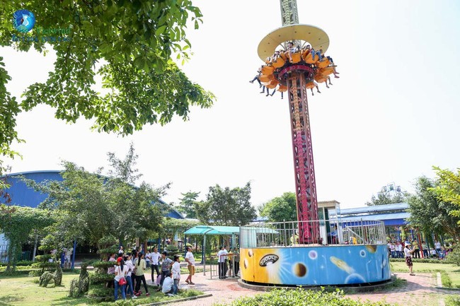 to-chuc-ngay-hoi-gia-dinh-meiko-viet-nam11